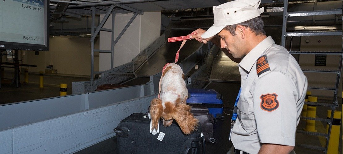 Aviation Security Department